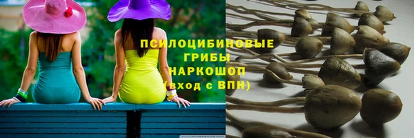 прущая мука Надым