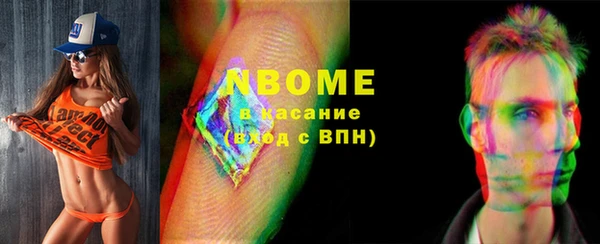 хмурый Нея