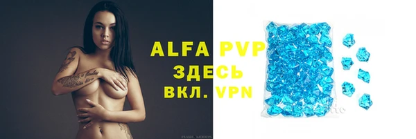 стаф Нефтегорск