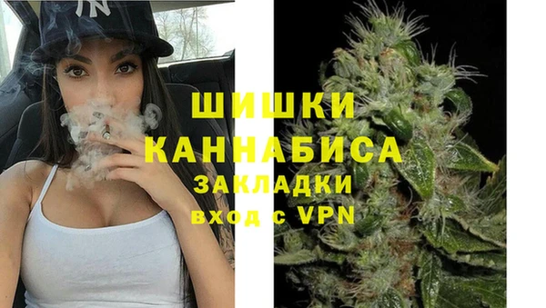 хмурый Нея