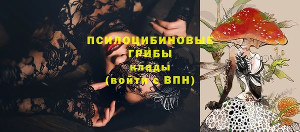 хмурый Нея