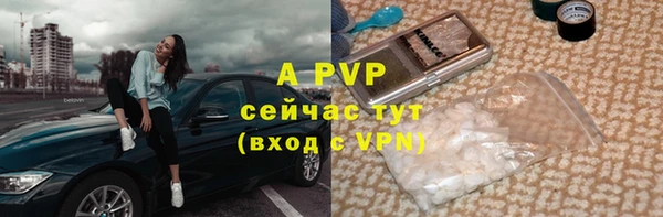 стаф Нефтегорск
