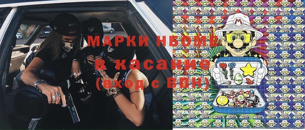 хмурый Нея