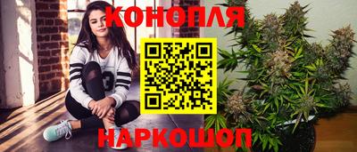 прущая мука Гатчина