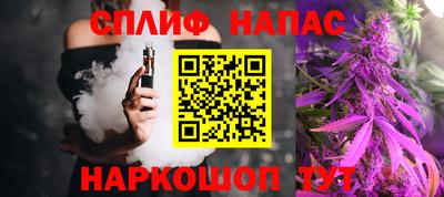 сатива Гай