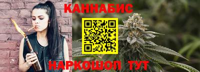 сатива Гай