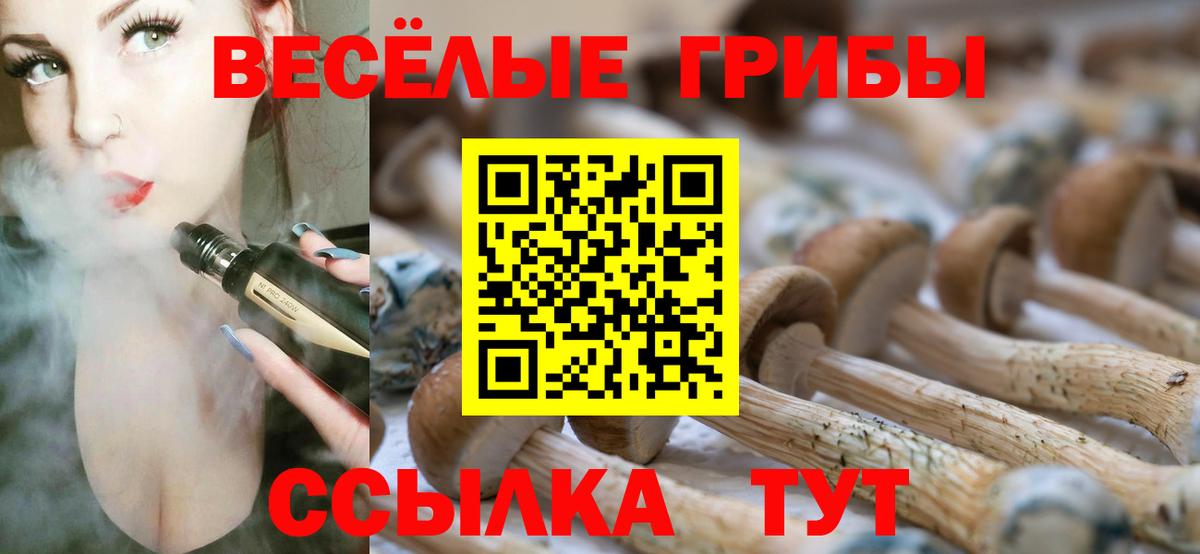 Миасс  Псилоцибиновые грибы Cubensis  Галлюциногенные грибы MAGIC MUSHROOMS  Вход с VPN 