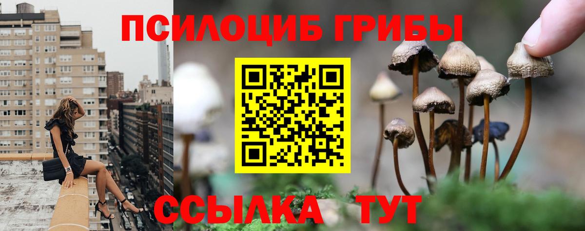 Псилоцибиновые грибы Psilocybe Миасс