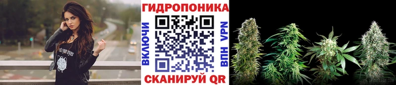Канабис Amnesia  Миасс 