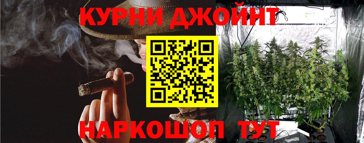 Миасс  Конопля AK-47  Вход с VPN  Бошки марихуана сатива  Конопля планчик 